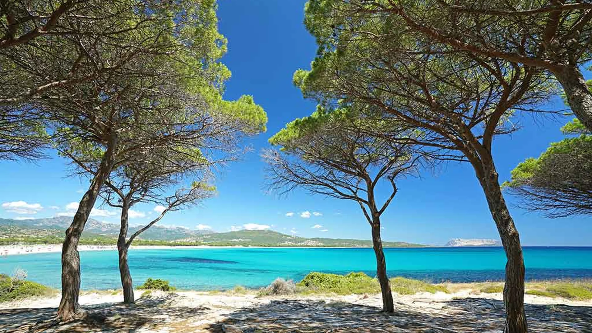 Casa Anghela, Limpiddu (Sardegna)